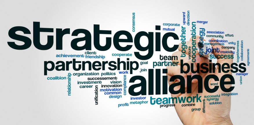 Distribution Strategies and Strategic Alliances